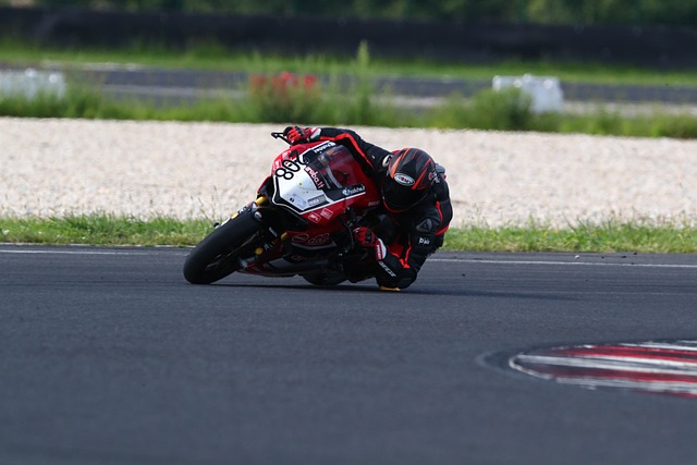 始终掌握在 始终掌握在