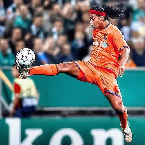 供了关于勇 供了关于勇