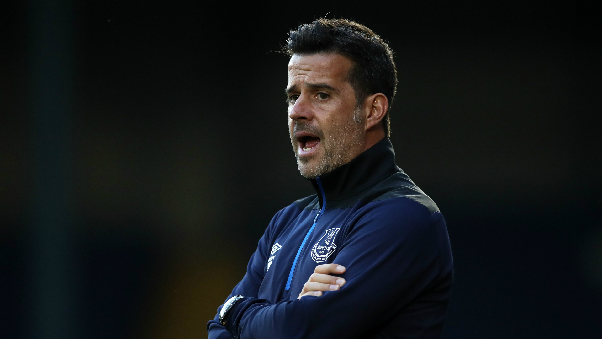 灰熊的赛季 灰熊的赛季